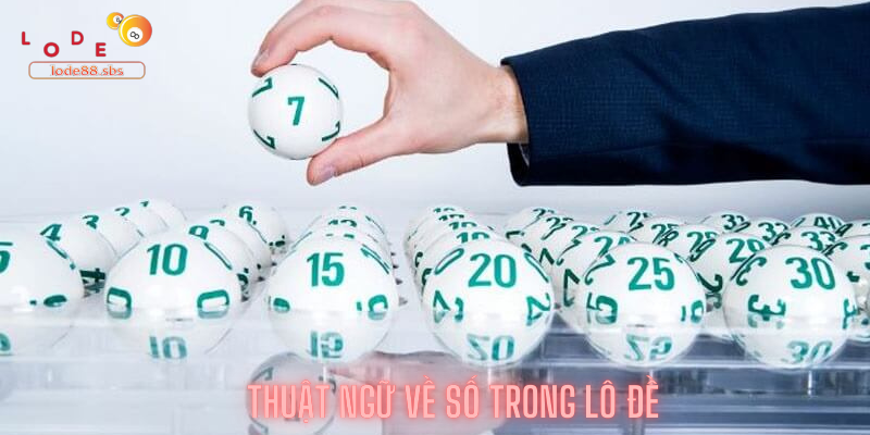 Thuật Ngữ Về Số Trong Lô đề